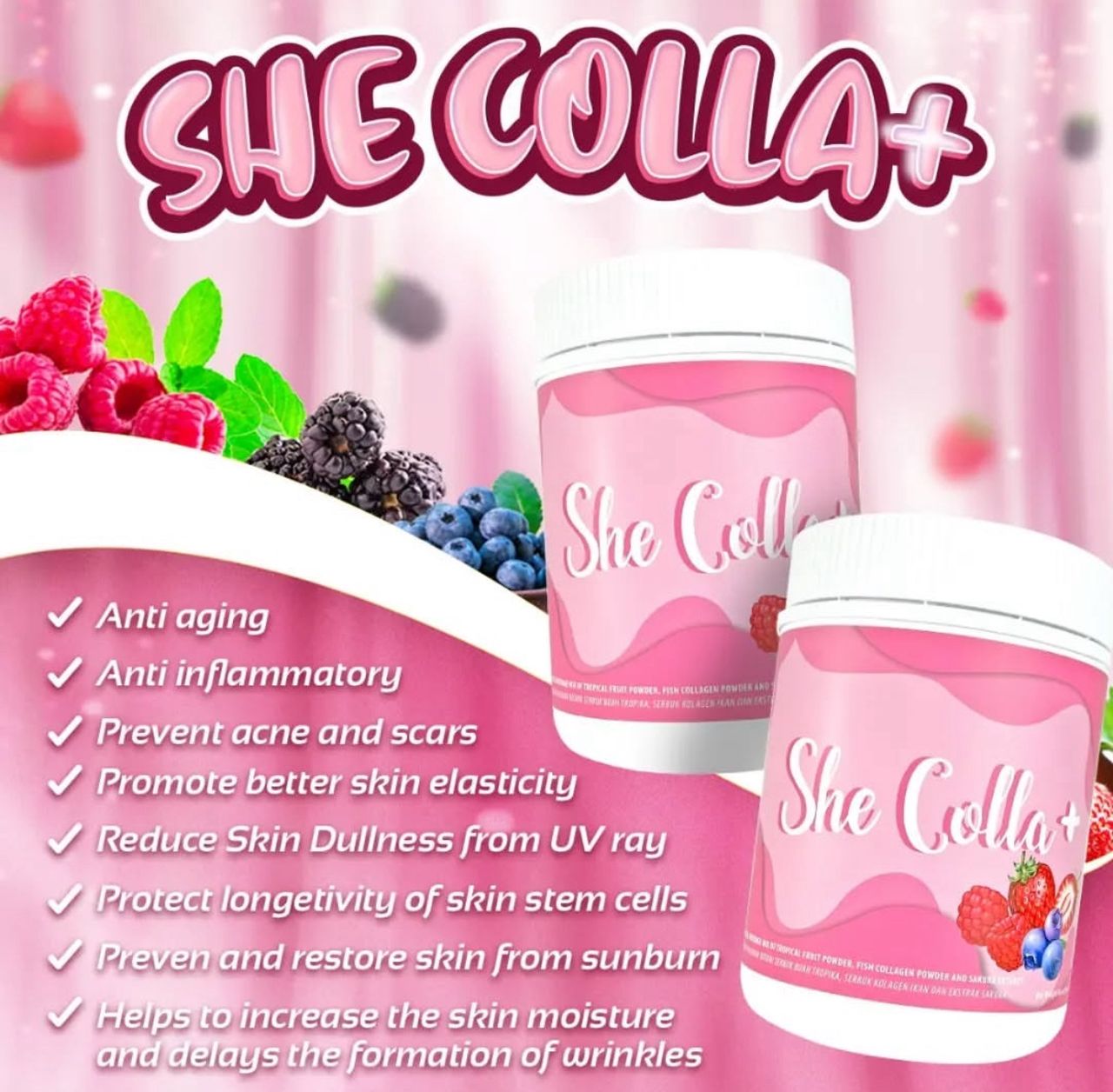 She Colla ++ - Image 4